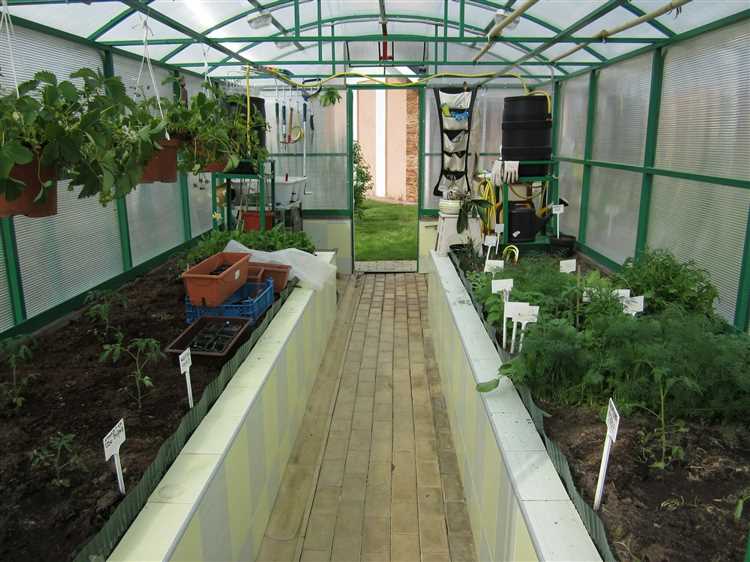 Использование полок и ярусов для растений для максимального увеличения пространства для выращивания в теплице
