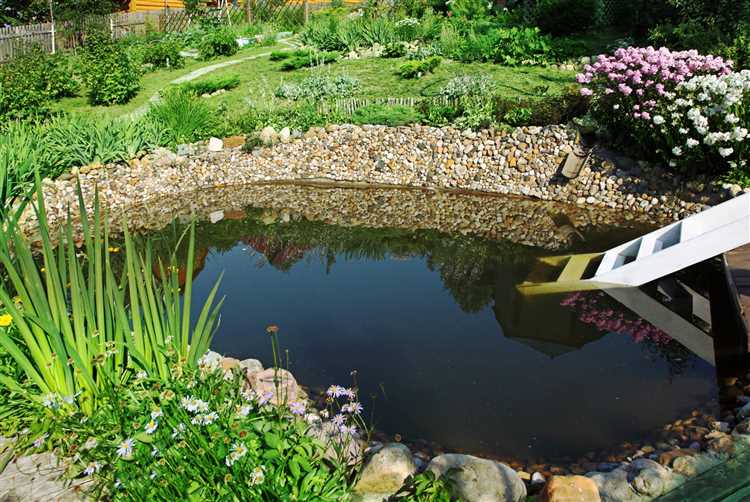 Преимущества использования водных объектов в саду