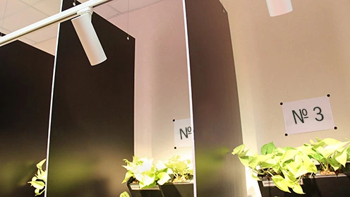 Исследование преимуществ автоматизированных светильников для выращивания растений