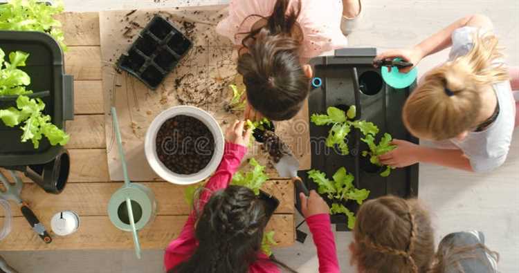 Причины, по которым дети должны изучать садоводство