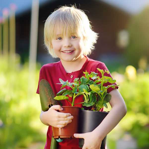 Обучение детей садоводству
