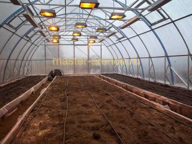 Увеличьте урожайность в теплице с помощью правильной циркуляции воздуха