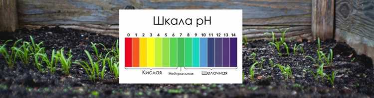 Определение понятия pH почвы