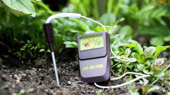 Значение pH почвы для растений