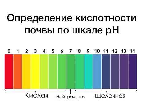Понимание pH почвы