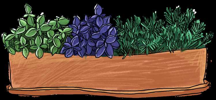 Избавляемся от однообразности: добавим съедобные растения в ваш сад