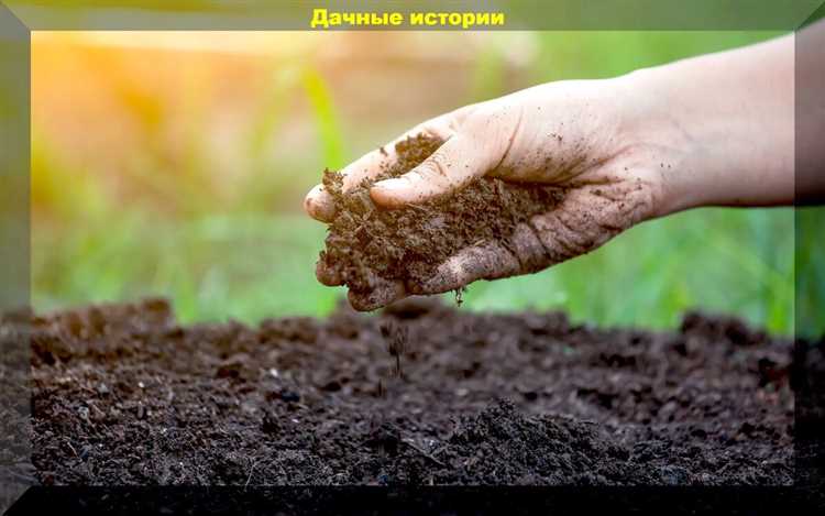 Преимущества применения естественных методов улучшения почвы