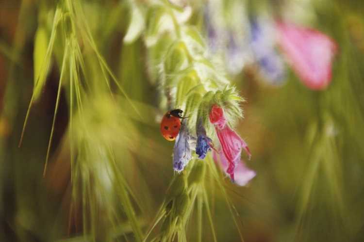 Деятельность полезных насекомых в саду