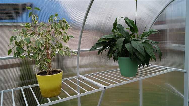 Проектирование полок для растений в теплице