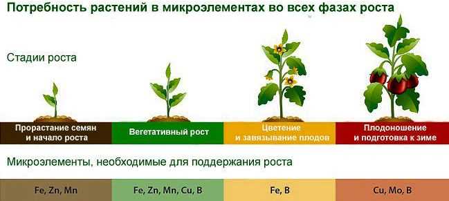 Потребности листовых растений