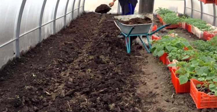 Какая почва подходит для выращивания овощей в теплице?