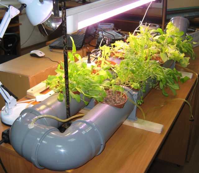 Создание автоматизированных систем заливки растений