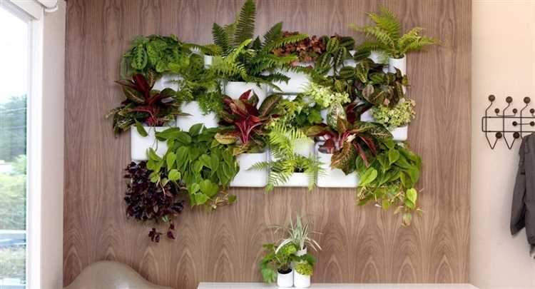 Идеи для создания свежего воздуха в помещении с использованием растений