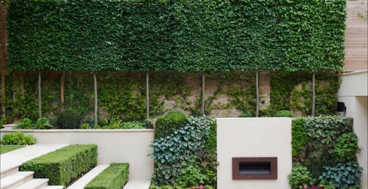 Подбор и размещение растений для вертикальной садовой стены