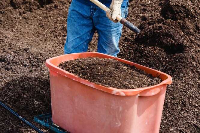 Преимущества улучшения структуры почвы с помощью компоста: