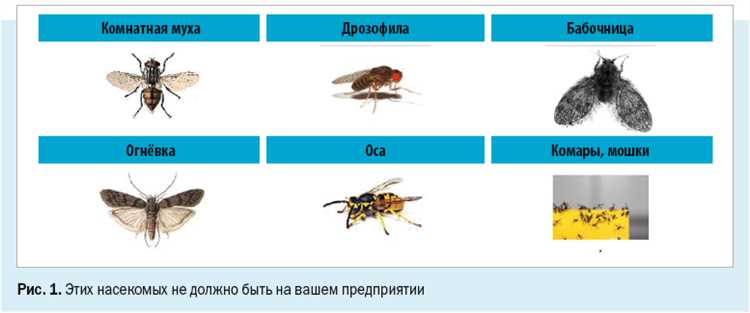 Проблемы, связанные с насекомыми: