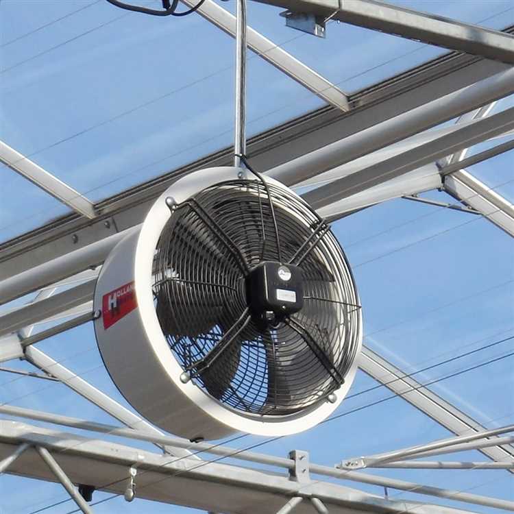 Преимущества установки вентиляторов в теплице