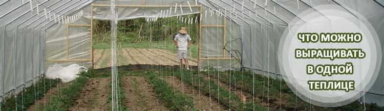 Выращивание фруктов, трав и овощей в теплице