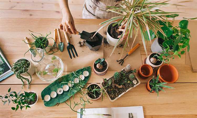 Какие комнатные растения выбрать для внутреннего озеленения помещения